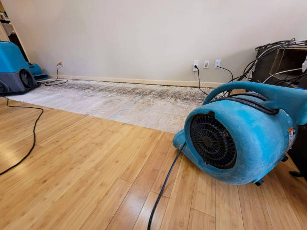 Professional Water Damage Repair technician working in Georgetown, KY